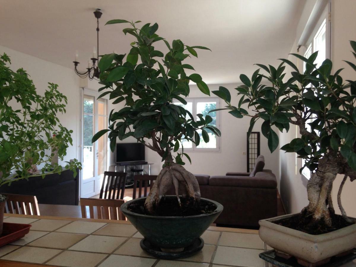 Appartement Salvaterra Sauveterre  Bagian luar foto