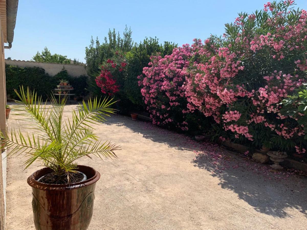 Appartement Salvaterra Sauveterre  Bagian luar foto